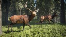 The Hunter: Call of the Wild скриншот 3