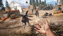 Far Cry 5 скриншот 5