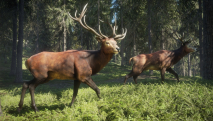 The Hunter: Call of the Wild - Medved-Taiga скриншот 3