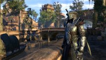 The Elder Scrolls Online скриншот 2