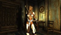 The Elder Scrolls 5: Skyrim скриншот 3